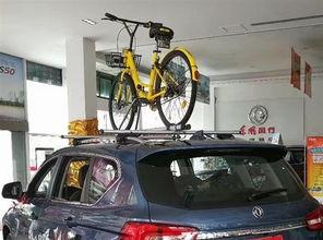 国产汽车4s直播视频,品质与性能的完美呈现