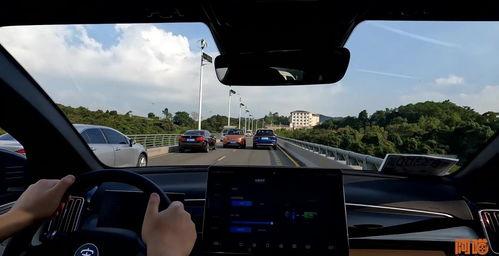 逗哥唱国产车歌视频,欢快旋律传递民族自豪